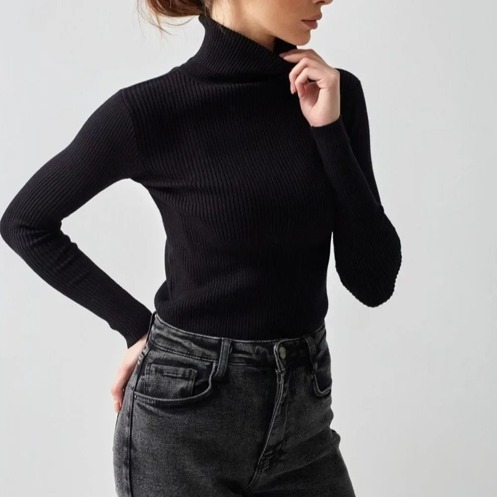 Blake | Knitted Turtleneck Sweater